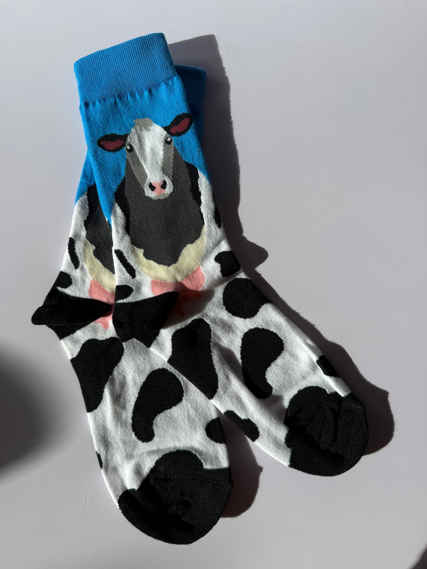 CheeseFest Socks