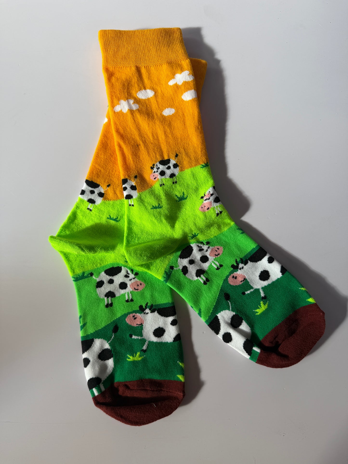 CheeseFest Socks