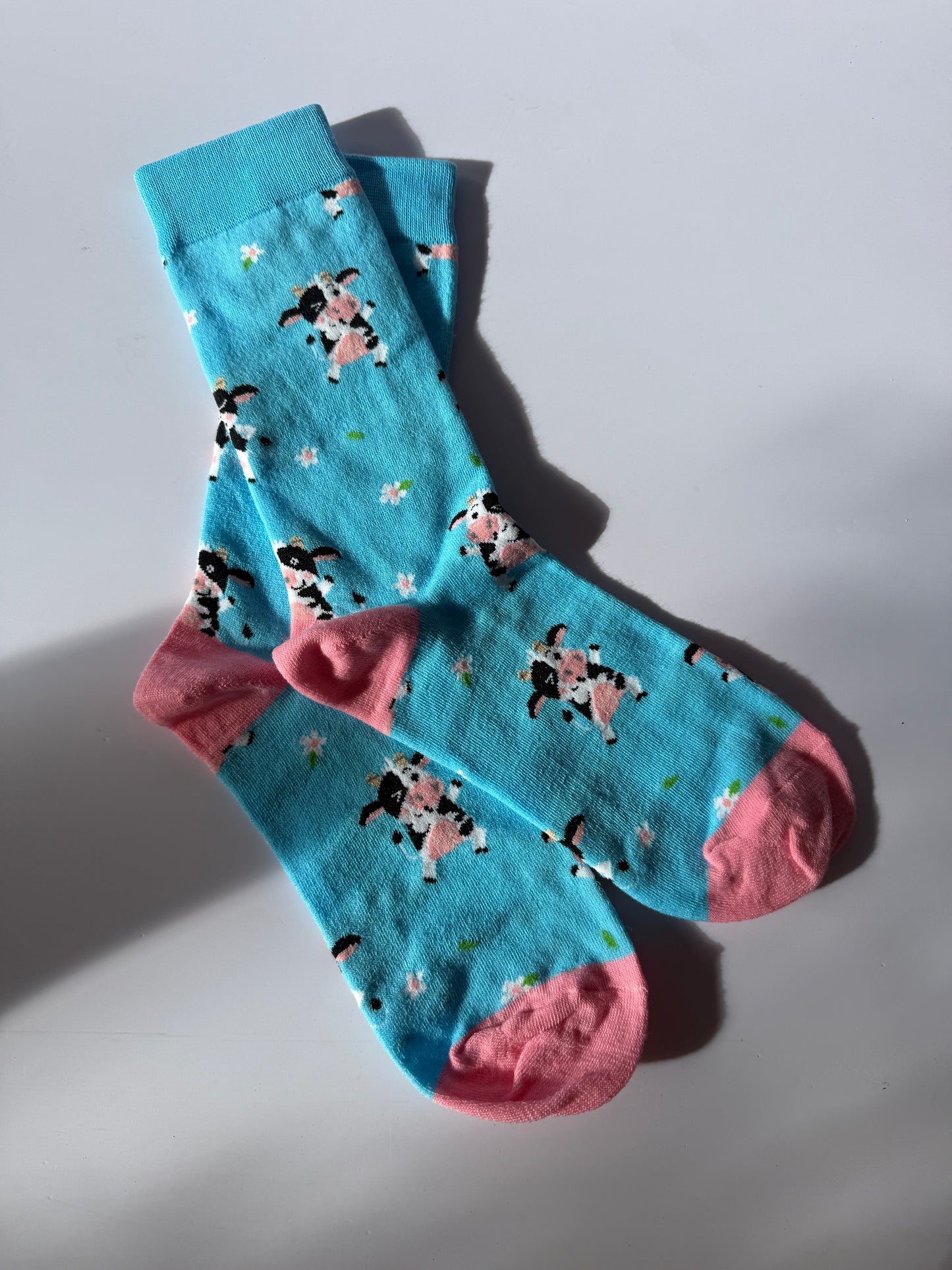 CheeseFest Socks