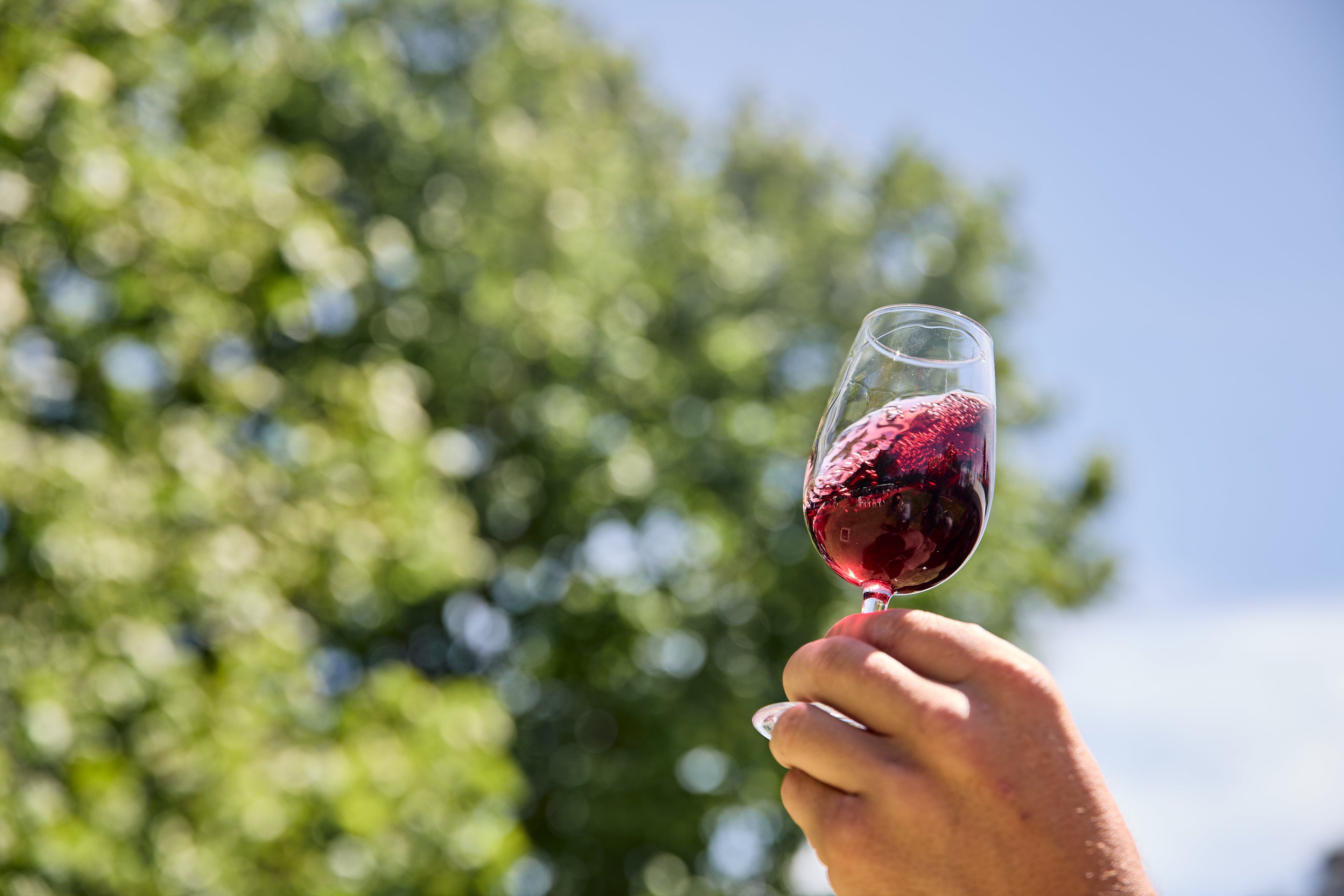 Hand holding a glass of red wine with trees in the background