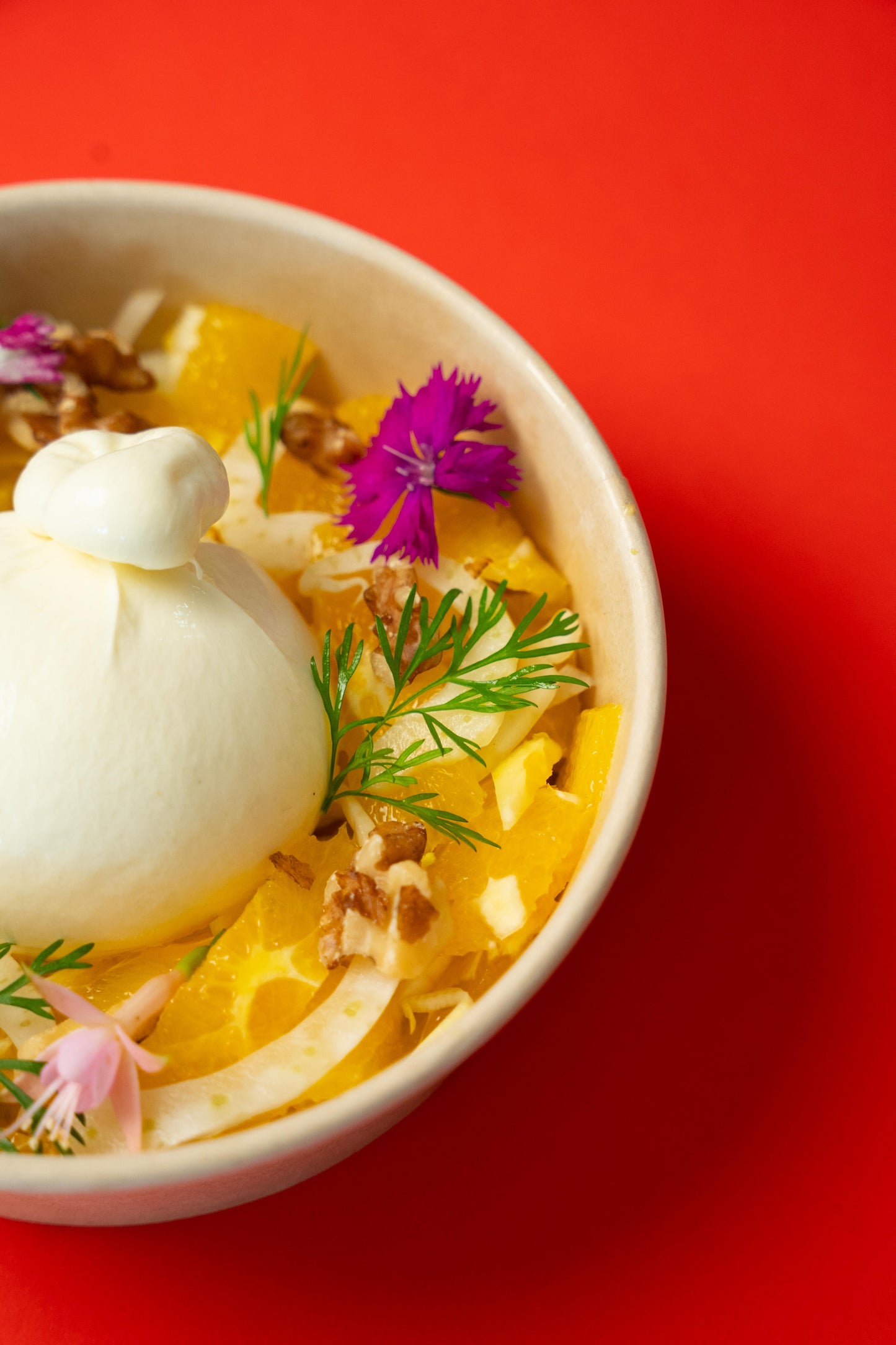 Project Burrata