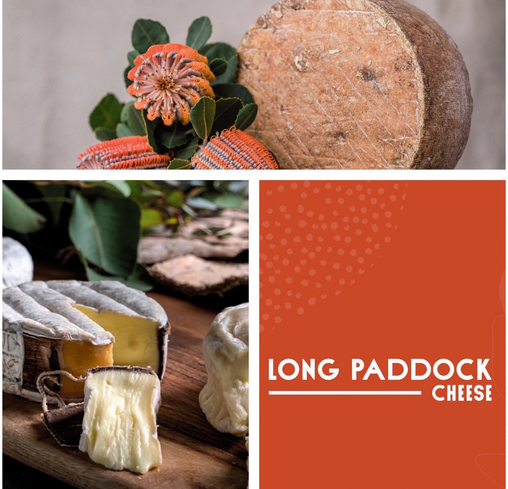 Long Paddock Cheese & The Cheese School