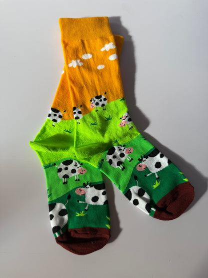 CheeseFest Socks