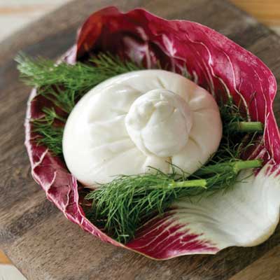 Vannella Cheese
